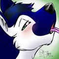 New Icon