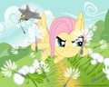 Fluttershy : The Hurricane