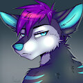 Icon Commission