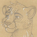Furrnion III Stuff - Sketch by RakPolaris