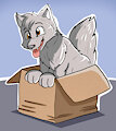A Wolf in a Box