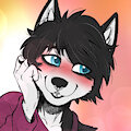 Blushy Husky