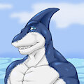 Shork