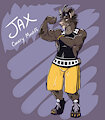 Jax ref