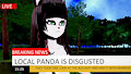 Leis on News