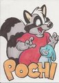 Pochi by pochi