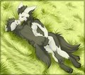 Hold Her Close~