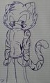 Tigre