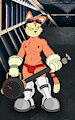 Blinx