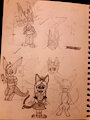 The Kit Crew? by Zivrshka