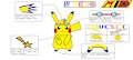 My Pokesona