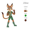 J'Khar the Khajiit Reference Sheet