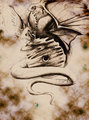 Manipulation of Essence by shyshinobi