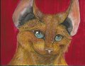 For Sale: She Had Golden Hair and Big Blue Eyes by TheFeatheredCat