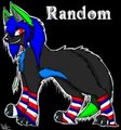 Random The Wolf by SanaraTheKitty