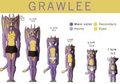Grawlee's AR/Age ref sheet