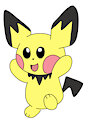 Pichu day 2020
