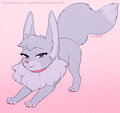 Syringa