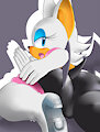Rouge the Bat 1