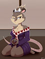 TMNT: Fem Splinter