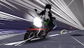 Leis Motorcycle