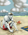 Fun at the beach by Spottydog
