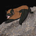 Batober Common Pipistrelle