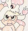 Apple Sisters