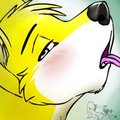 Tyler Icon .:CMS:.