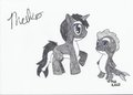 NOOOOOOOOOOO I've been Poneyfied!!!!