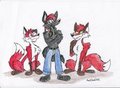 Something Foxy This Way Comes