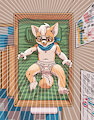 A Corgi!