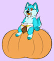 Huey's Pumpkin