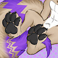 Faelyn Paws by Xplico