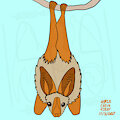 Batober Yellow-Winged Bat