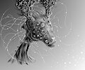 Spacy deer of the eye people