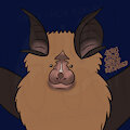 Batober Rufous Horseshoe Bat