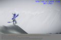 YCH 3 "Winter Storm" by BrownFoxWarrior