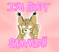 Sydney is Fluffy Sammich