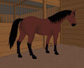 Addler the horse F