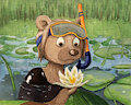 Water Lily