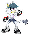 Sonic Battle Eder