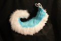 Blue Husky Tail