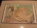 cougar watercolor by Stratiger