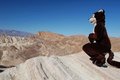 Otter at Zabriskie Point by Kairan