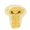 L/B-pkmn-suit project #014 Kakuna by gaki