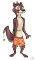 Otter by sirnadroj
