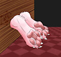 Paws 1