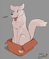 A Wolf in a Box by WolfeMan