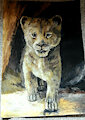 Simba by HamHam5